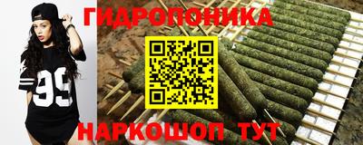 гашик Пенза