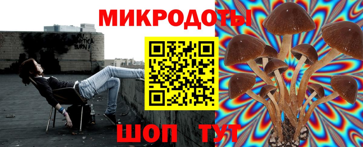 Галлюциногенные грибы Psilocybe Семёнов