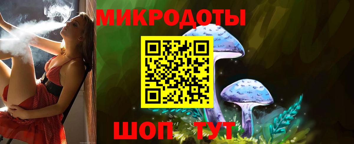 Семёнов  Псилоцибиновые грибы GOLDEN TEACHER  Вход с VPN 